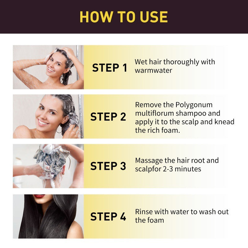Polygonum Black Repair Shampoo