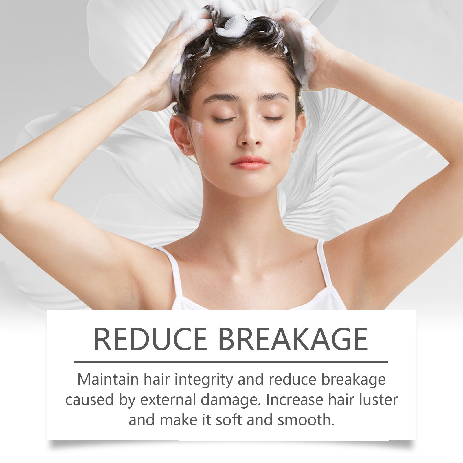 Hoegoa Chamomile Shampoo for Smooth & Shine | For Dry & Frizzy Hair